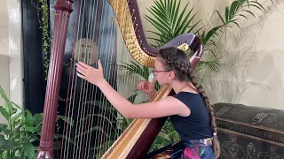 G. Donizetti / A. Zabel  – Harp solo from the opera „Lucia di Lammermoor"