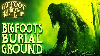 Bigfoot's Burial Ground | Bigfoot: The Road to Discovery (Real Sasquatch Audio)