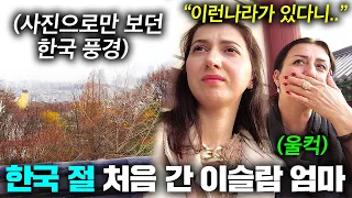 높은 산 위에서 본 한국의 아름다움에 끝내 눈물 흘리는 아제르바이잔 엄마.. (한국 절 첫 경험)