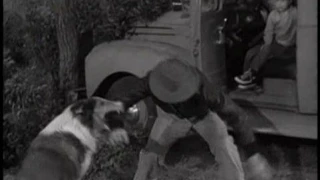 Lassie - Episode #174 - "Rock Hound" - Season 5, Ep. 31 - 04/05/1959