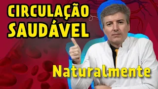 Seu Corpo Vai Agradecer: Tudo sobre Como Melhorar a Circulação Sanguínea