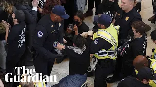 Protesters calling for ceasefire in Israel-Hamas war arrested in US Capitol building