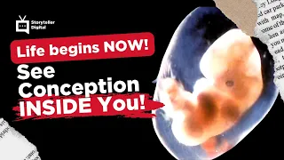 Watch the Moment of Conception, of Creation | Storyteller Media