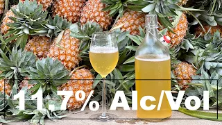 VINO di ANANAS fatto in casa gradazione alcolica 11.7%