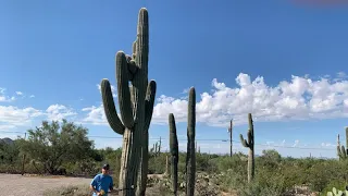 Metal Detecting in Tucson, Arizona