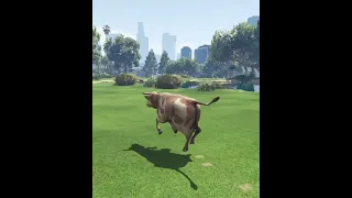 Cow disturbs the girl GTA5 #shorts