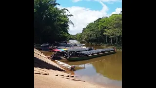 calamar guabiare la entrada para para el mitu