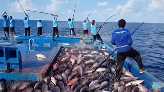 Pole and Line Tuna Fishing in Maldives