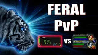 FERAL DRUID 1v2 PvP - Dragonflight - Chiter