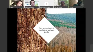 IFSA LC's Webinar: “Introduction into Forestry in Germany in contrast to Ukrainian practices”