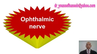 Ophthalmic Nerve