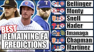 The Best Remaining MLB Free Agents At Each Position & Predicting Where they Will Sign.