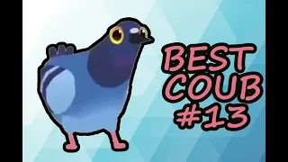 🔥BEST COUB #13 | BEST CUBE | BEST COUB COMPILATION | DECEMBER 2019 | SPICY COUB🔥