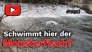 Schwimmt hier der Monsterfisch? - Angeln am Hotspot Wasserfall #folge3 #trout #fishing #waterfall