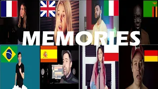 Who Sang It Better: Maroon 5 - Memories in different languages