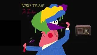 TODD TERJE - Inspector Norse (radio edit)