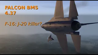 Viper: J-20 killer? BVR and WVR in Falcon BMS