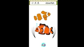 #Shorts| 中英文学习 - 海洋动物 - 小丑鱼 | Learning English and Chinese - sea animal -clownfish