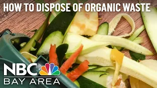 Explained: How To Properly Dispose of Organic Waste