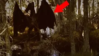 5 Unidentified Creatures Caught On Camera & Spotted In Real Life!