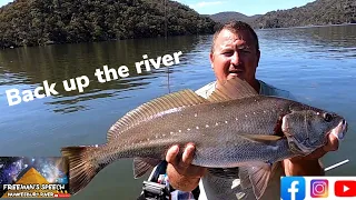 hawkesbury river fishing Back up the river