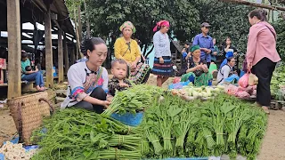 The heart of a 17 year old single mother - Harvesting pumpkin tops to bring to the market- anh hmong