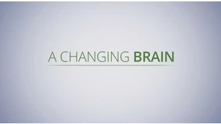 Brain Changes and Dementia