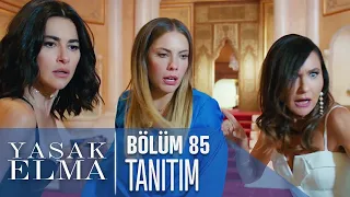 Yasak Elma 85. Bölüm Tanıtımı