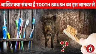 History Of Toothbrush Journey [ टूथब्रश का इतिहास ] First Toothbrush Made Out of Hair?