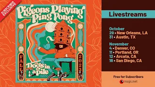 Pigeons Playing Ping Pong: "Pop Off" (Official Live Video) - 10/29/23