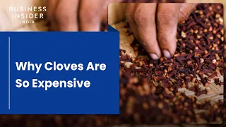 Why Cloves Are So Expensive | So Expensive