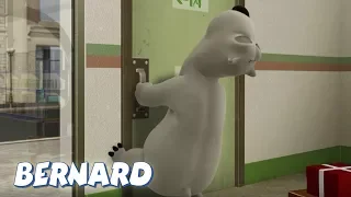 Bernard Bear | Doors AND MORE | 45 min Compilation | Cartoons for Children