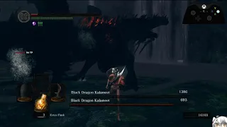 Dark Souls 2x Enemy Mod - Kalameet