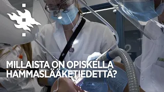 Millaista on opiskella hammaslääketiedettä? | Helsingin yliopisto