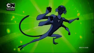 Ben 10 Reboot Season 5 - Ben 10,010 Spidermonkey Transformation - English Version