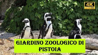 GIARDINO ZOOLOGICO DI PISTOIA | ITALY | Pistoia Zoo & Dino Park | 4K