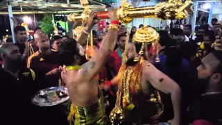 ThaiPusam Batu Caves 2016