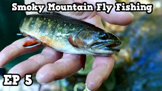Fly Fishing The Smoky Mountains | Brookies | EP 5