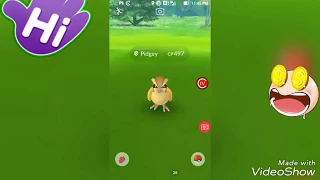 100% IV DITTO CATCHING IN POKEMON GO