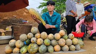 Harvest pumpkin, go to market to sell, daily life, forest life