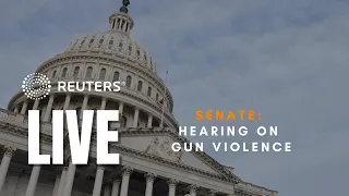 LIVE: U.S. Senate panel holds hearing on gun violence
