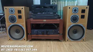 Yamaha ns 690 huyền thoại nhạc vàng bình dân,tuyệt đẹp