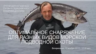 Снаряжение для трофейной морской охоты от В  Докучаева