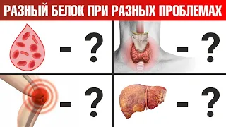 Какой вид белка нужен именно вам? Яйца? Мясо? Рыба?🤔