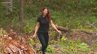 One year after stolen Horizon plane crash, scars remain on Ketron Island in Pierce County