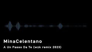 MinaCelentano - A Un Passo Da Te (wzk remix 2023)