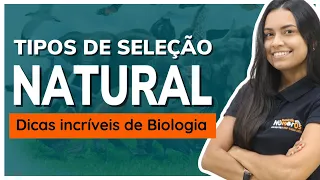 Tipos de seleção natural | Dica de Biologia