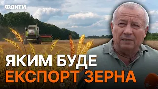 Збір урожаю ПІД ОБСТРІЛАМИ: чи вдасться аграріям цьогоріч вдало ПРОДАТИ збіжжя