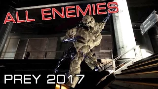 All Enemies of Prey 2017