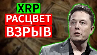 🚀 XRP 🚀 СКОРО ВЗЛЕТИТ В ВЫСОТУ! УЗНАЙТЕ СЕЙЧАС НОВЕЙШИЕ СЕКРЕТЫ КРИПТОВАЛЮТЫ!